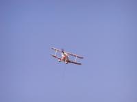 Name: P2030260.JPG
Views: 1262
Size: 35.0 KB
Description: 