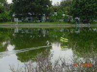 Name: row wahoo!!!!.jpg
Views: 387
Size: 37.3 KB
Description: 