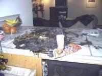 Name: housefire-1.jpg
Views: 4488
Size: 57.8 KB
Description: 