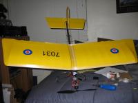 Name: yellow slowstick-01.jpg
Views: 103
Size: 86.0 KB
Description: 