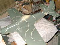 Name: Royal P51 016.jpg
Views: 110
Size: 68.7 KB
Description: bottom and top sprayed, then masked