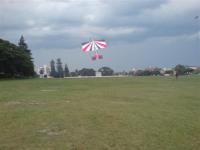 Name: DSC00175 (Small).jpg
Views: 1019
Size: 33.1 KB
Description: 