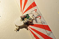 Name: DSC_0616.jpg
Views: 1915
Size: 66.3 KB
Description: 