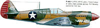 Name: p-40 red tail.jpg
Views: 56
Size: 82.5 KB
Description: Here is where the idea is from
