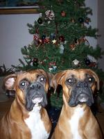 Name: Storm-Tina2.jpg
Views: 137
Size: 68.4 KB
Description: 