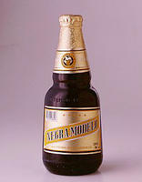 Name: negra-modelo-01.jpg
Views: 54
Size: 32.1 KB
Description: 