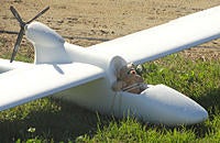 Name: Bearplane19.jpg
Views: 64
Size: 114.3 KB
Description: 