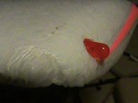 Name: DSC01613.jpg
Views: 859
Size: 21.7 KB
Description: Red LED on port side..Green on the other side. you can see some shipping damage here also.