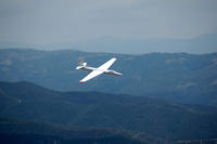 flight2.jpg