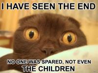 Name: endcatau3.jpg
Views: 670
Size: 36.8 KB
Description: 