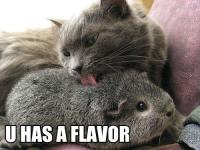 Name: u-has-a-flavor.jpg
Views: 599
Size: 53.8 KB
Description: 