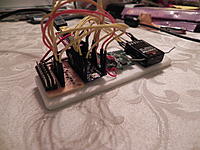 Name: DSCN3418.jpg
Views: 58
Size: 227.7 KB
Description: 
