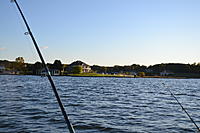Name: 2011_1030Mttohuntdeer4th0009.jpg
Views: 19
Size: 197.9 KB
Description: 