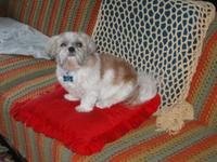 Name: On the Throne copy.jpg
Views: 154
Size: 49.8 KB
Description: Tuffy still keeps things well ordered...