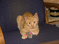 Name: IMG_0199.jpg
Views: 29
Size: 252.8 KB
Description: 
