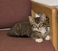 Name: IMG_0007a.jpg
Views: 28
Size: 210.7 KB
Description: Michael de Paws