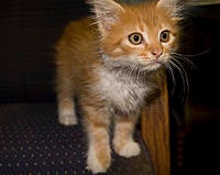 Name: IMG_0010.jpg
Views: 32
Size: 176.2 KB
Description: Ian McClaws