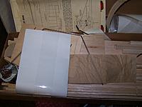 Name: Clipped wing 1.jpg
Views: 115
Size: 162.1 KB
Description: 