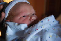 Name: DSC_0427.jpg
Views: 348
Size: 45.2 KB
Description: 