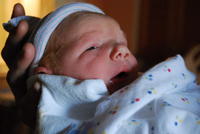 Name: DSC_0428.jpg
Views: 303
Size: 51.5 KB
Description: 