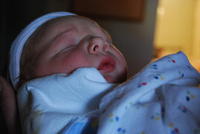 Name: DSC_0432.jpg
Views: 285
Size: 46.4 KB
Description: 