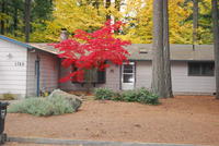 Name: DSC_0455.jpg
Views: 405
Size: 131.1 KB
Description: The Hut-in-the-woods...
with Rock of Love