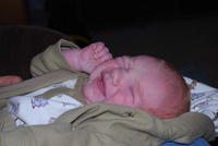 Name: DSC_0475.jpg
Views: 68
Size: 45.5 KB
Description: 