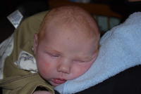 Name: DSC_0492.jpg
Views: 37
Size: 48.2 KB
Description: 