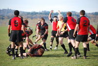 Name: DSC_0549.jpg
Views: 366
Size: 105.4 KB
Description: 