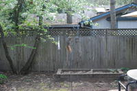 Name: DSC_1289.jpg
Views: 262
Size: 106.7 KB
Description: 