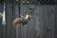Name: DSC_1293.jpg
Views: 293
Size: 48.5 KB
Description: 