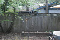 Name: DSC_1290.jpg
Views: 251
Size: 123.1 KB
Description: 