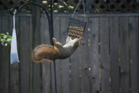 Name: DSC_1295.jpg
Views: 274
Size: 53.1 KB
Description: 