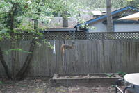 Name: DSC_1291.jpg
Views: 252
Size: 121.9 KB
Description: 