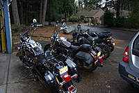 Name: DSC_2172.jpg
Views: 279
Size: 114.0 KB
Description: Oldest to youngest...