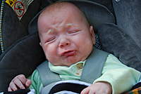 Name: DSC_3239.jpg
Views: 204
Size: 59.2 KB
Description: 