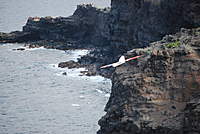 Name: DSC_3336.jpg
Views: 266
Size: 77.1 KB
Description: 