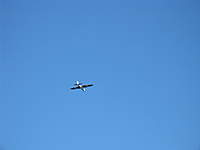 Name: Maui 2010 092.jpg
Views: 262
Size: 8.7 KB
Description: 