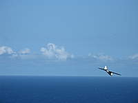 Name: Maui 2010 093.jpg
Views: 255
Size: 15.1 KB
Description: 