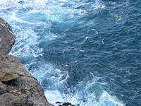 Name: Maui 2010 095.jpg
Views: 332
Size: 117.9 KB
Description: 