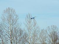 flying2.jpg
