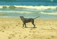 Name: 1c.jpg
Views: 124
Size: 107.6 KB
Description: 