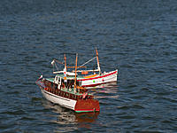 Name: 2013-01-19_0020.jpg
Views: 1230
Size: 271.6 KB
Description: Don's Anna III and CplFuzz's Pelican