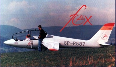 a415319-65-fox.jpg