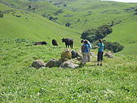 Name: IMG_1337.jpg
Views: 116
Size: 138.3 KB
Description: local visitors