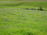 Name: IMG_1379.jpg
Views: 90
Size: 136.9 KB
Description: Beautiful Spring day