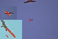 Name: kites.jpg
Views: 180
Size: 54.1 KB
Description: 