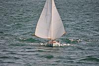 Name: windy 1.jpg
Views: 51
Size: 161.0 KB
Description: 