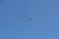 Name: P1040155.jpg
Views: 49
Size: 17.9 KB
Description: 