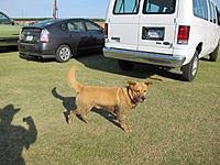 Name: Flagged - 580.jpg
Views: 61
Size: 73.3 KB
Description: 